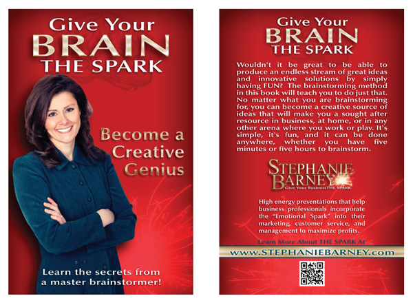 Stephanie Barney - "Give Your Brain the Spark" book Cover